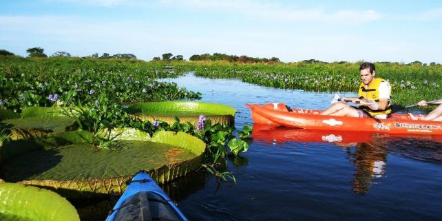Las actividades del turismo siguen funcionando y se aprovecharon en Semana Santa: kayakismo guiado, excursiones en lanchas con motores ecológicos, recorrer arroyos e islas, avistaje de aves y disfrutar de la vegetación.