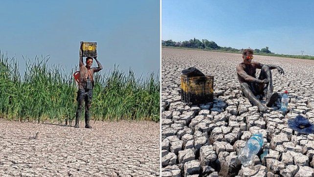 En total fueron 15 las tortugas rescatadas en la primera jornada