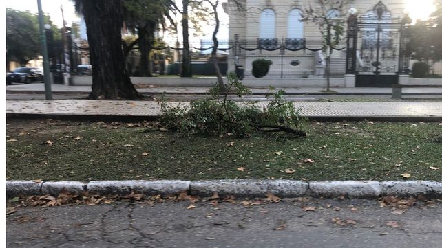 El fuerte temporal de viento que azot&oacute; Santa Fe dej&oacute; da&ntilde;os materiales, ca&iacute;da de ramas y cortes de luz