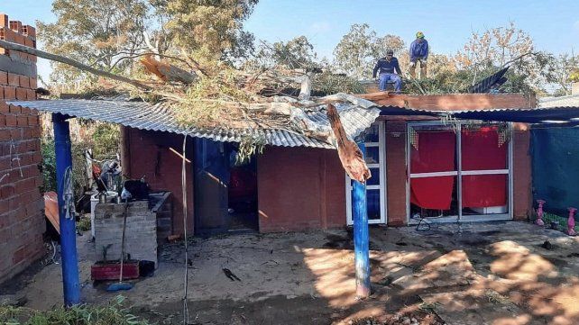 Ramas y árboles caídos tras el temporal en la vecina ciudad de Santo Tomé