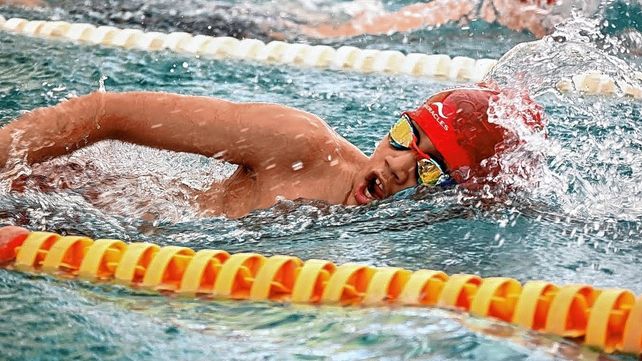 El Torneo 68° aniversario de la Federación Santafesina de Natación se desarrollará en el natatorio Conrado Porta-