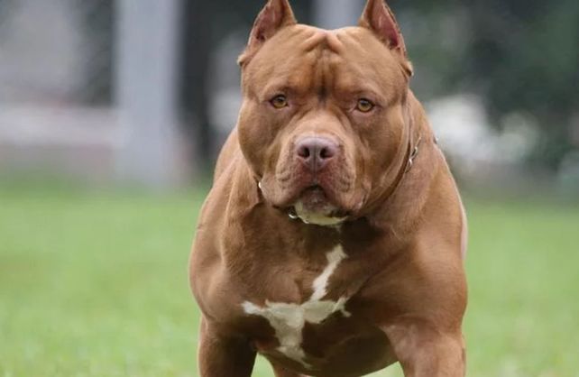 Imagen ilustrtativa.