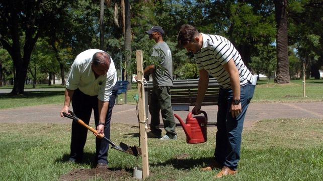 La ciudad sumó 5 mil nuevos árboles en 2025: detectaron 190 espacios verdes que necesitaban forestación