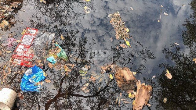 Basura a orillas del lago del Parque Garay.