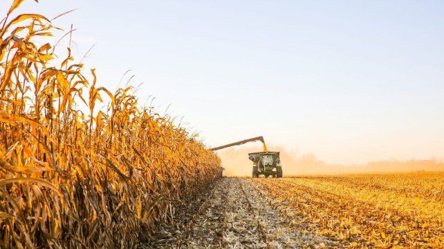 El gobierno volvió a subir las retenciones a la soja, maíz, girasol y sorgo