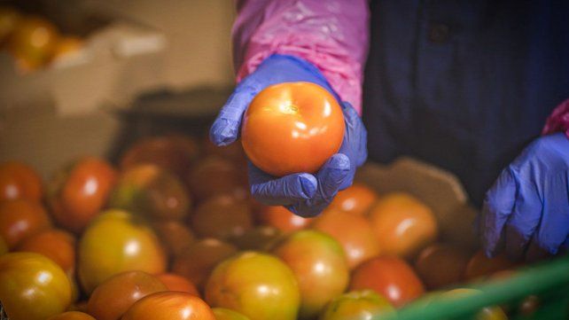 Origen vegetales MMcDonald's 