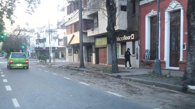 El fuerte temporal de viento que azot&oacute; Santa Fe dej&oacute; da&ntilde;os materiales, ca&iacute;da de ramas y cortes de luz