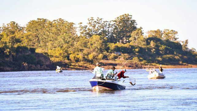 Concordia para disfrutar con todos los sentidos