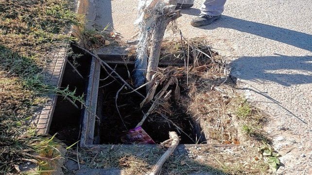 Estos elementos protegen los desagües para evitar el ingreso de basura o cualquier material voluminoso que impediría el curso normal del agua