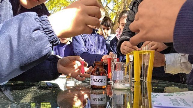 Imágenes del Picnic ediciones 2018 y 2019.