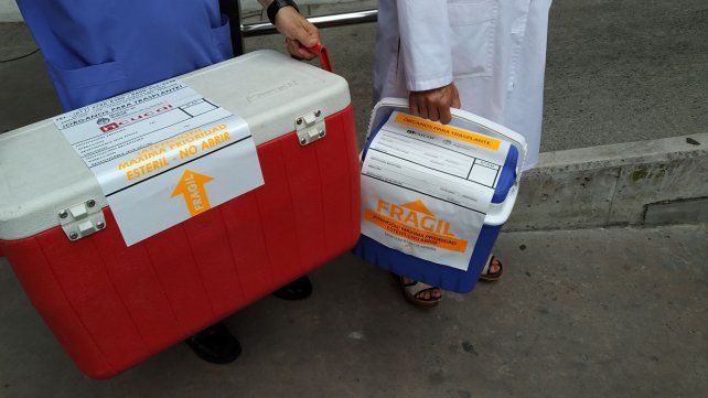 Donación de órganos