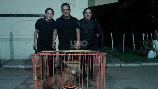 Personal de la policía comunitaria junto al del Liceo Militar que colaboraron con la captura del ejemplar de aguará guazú