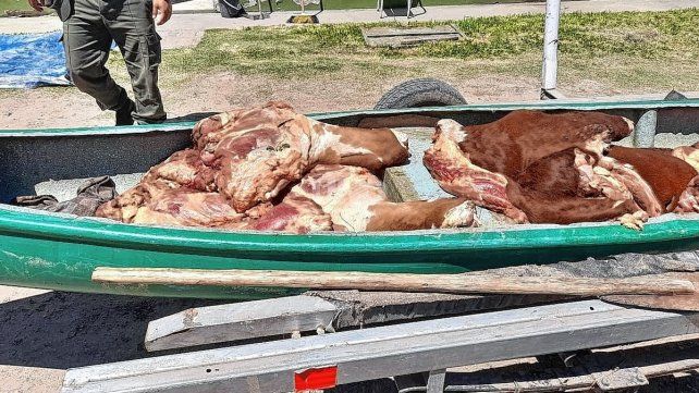 Lo detuvieron con la faena de dos novillos robados