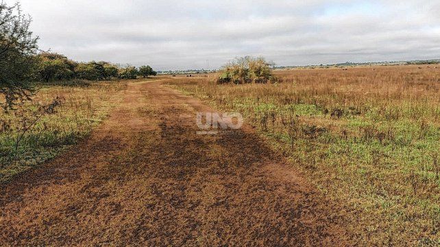 La Fiesta tuvo lugar en este descampado en Santo Tomé. 