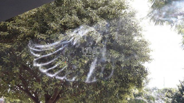 La imagen que se viralizó, pero en este caso en la localidad de Videla