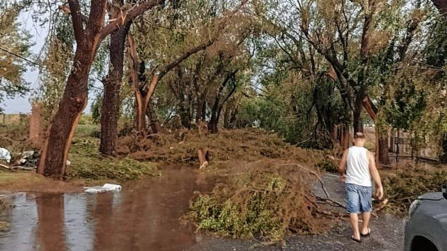 San Jorge. La tormenta arrasó y se llevó techos, árboles, casas y cultivos.