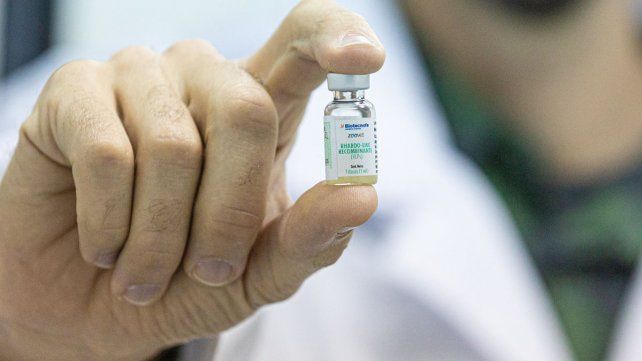 El Senasa aprobó una vacuna contra la rabia animal elaborada por Conicet UNL