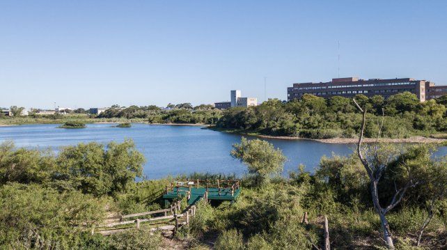 La Reserva Ecológica de Ciudad Universitaria de la Universidad Nacional del Litoral (UNL) cuenta con un renovado espacio para disfrutar del ambiente y la naturaleza. 