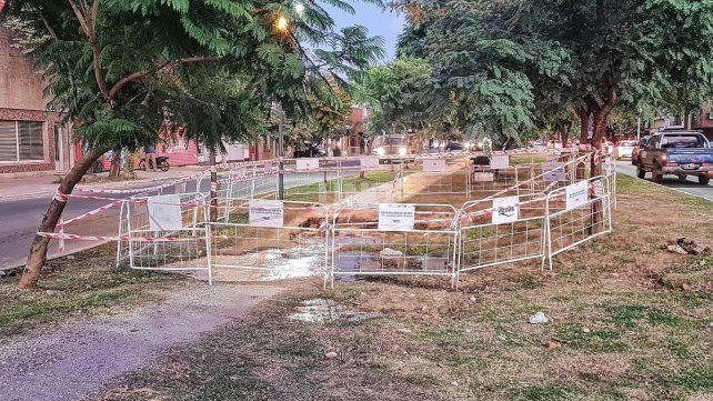 Así se encontraba el cantero de Urquiza y Bulevar producto de una perdida de agua de una conexión domiciliaria 