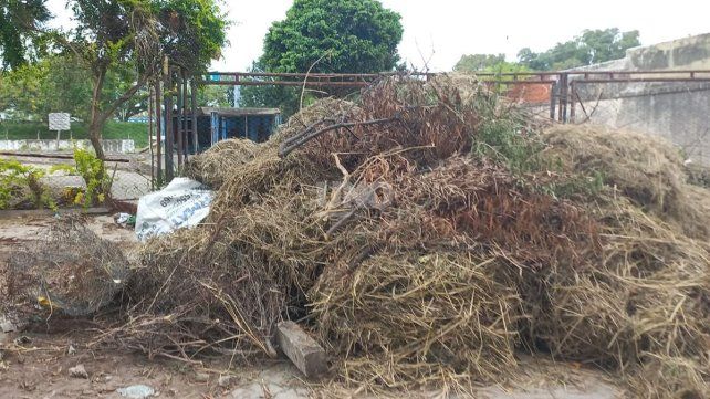 Finalmente limpiaron el predio donde mataron a Jeremías Monzón, tras el pedido de los vecinos 