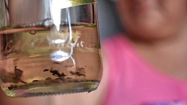 Recomendaciones descacharrado en el hogar Recomendaciones descacharrado en el hogar