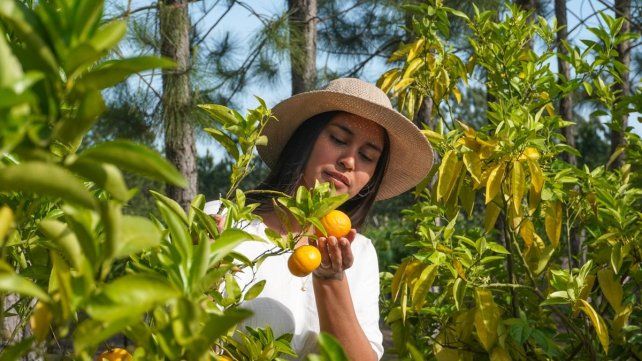 Concordia en verano: Carnaval, termas y propuestas para disfrutar con los sentidos
