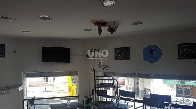 Boquete. Los delincuentes lograron llegar al techo del comercio e ingresaron rompiendo las chapas y el durlock, para luego retirarse por el mismo lugar con toda la recaudación sin que nadie los haya visto o escuchado.