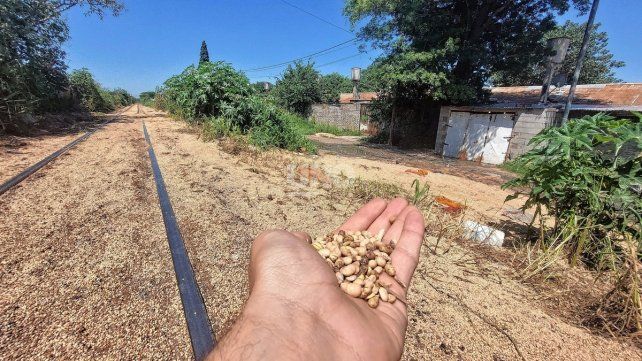 Santa Rosa de Lima: el olor 