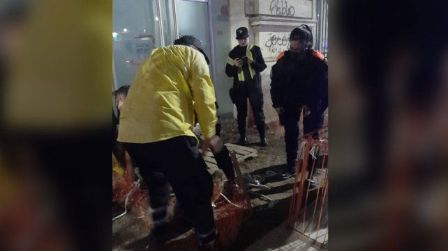 Se procedió al rescate del carpincho que fue trasladado a una veterinaria para realizarle curaciones porque se lo observaba herido