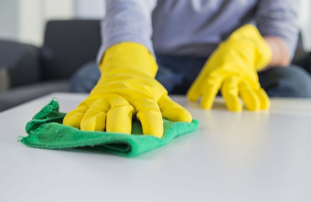 Empleadas domésticas 