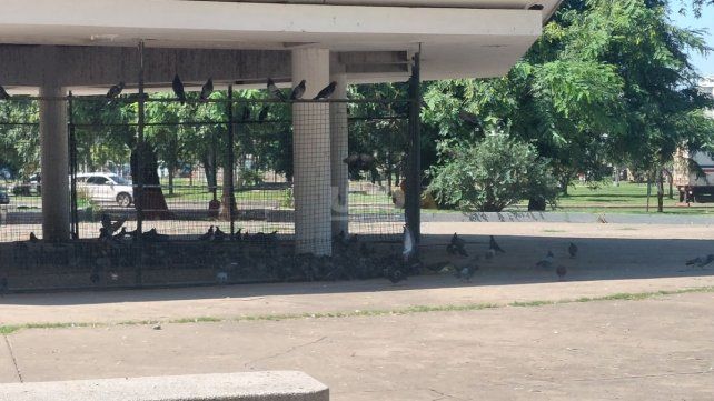 Cerraron de manera preventiva El Palomar, en la plaza Colón 