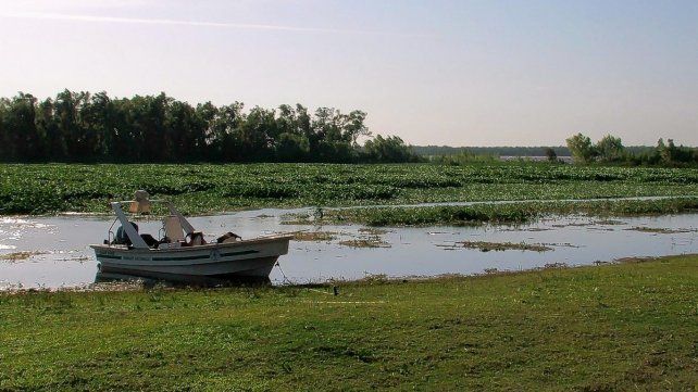 En Santa Fe las excursiones de avistaje e inmersión en las islas son actividades ofrecidas por cabañas y complejos costeros.
