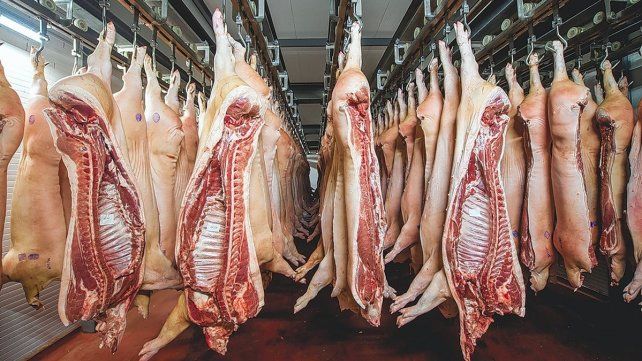 La importación de cerdo es récord y golpea a Santa Fe: 