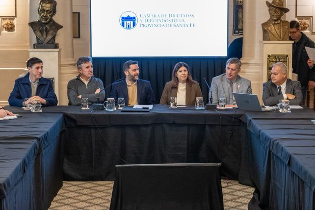 Martín Rapetti, en Santa Fe: "El trabajo que tenemos por delante es diversificar la economía argentina" Martín Rapetti, en Santa Fe: "El trabajo que tenemos por delante es diversificar la economía argentina"