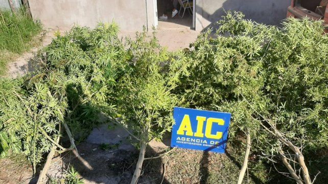 Los elementos secuestrados en los allanamientos por la balacera en el encuentro Colón Peñarol que terminó con barras detenidos 