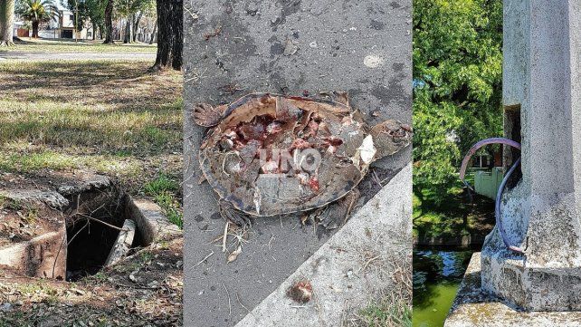 Preocupa el estado de abandono y vandalismo en el Parque Garay. 